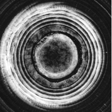 Serries, Dirk -& Trosta- - Island On the Moon