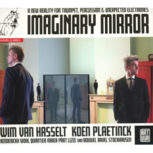 Hasselt, Wim Van/Koen Plaetinck - Imaginary Mirror
