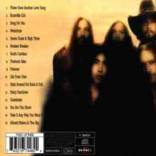 Outlaws - Green Grass and High Tides