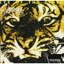 Survivor - Eye of the Tiger