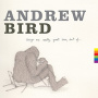 Bird, Andrew - Things Are Really Great Here