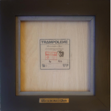 Trampolene - Love No Less Than a Queen