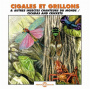 Sounds of Nature - Cicadas and Crickets