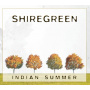 Shiregreen - Indian Summer