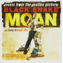 V/A - Black Snake Moan