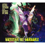 Little Steven, the Disciples of Soul - Summer of Sorcery