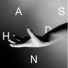 Bird, Wallis - Hands