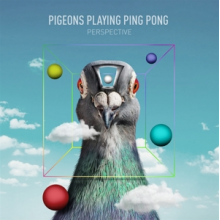 Pigeons Playing Ping Pong - Perspective