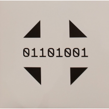 Silicon Scally - Field Lines