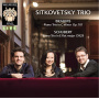 Brahms/Schubert - Piano Trios Nr.2/3