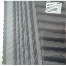 Wedding Present - We Should Be Together/Don't Give Up Without a Fight