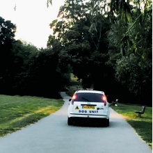 Dog Unit - Turn Right and Right Again