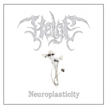 Helge - Neuroplasticity
