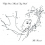 Clap Your Hands Say Yeah - Tourist