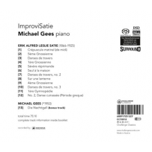 Gees, Michael - Improvisatie