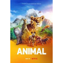 Documentary - Animal