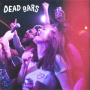 Dead Bars - Regulars