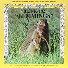 Blink-182 - 7-Split