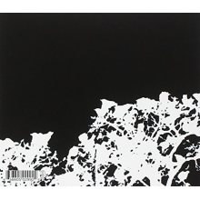 Songs: Ohia - Didn't It Rain (Deluxe)