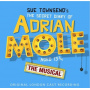 Musical - Sue Townsend's the Secret Diary of Adrian Mole Aged 13 3/4