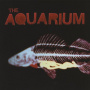 Aquarium - Aquarium