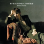 Divine Comedy - Absent Friends