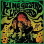 King Gizzard and the Lizard Wizard - Live At Levitation '14