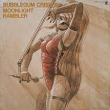 Various - Bubblegum Crisis 5 Moonlight Rambler