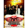 Aerosmith - Rock For the Rising Sun