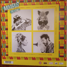 Minibus - Bal a Fond