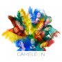 Maillard, Thierry -Ensemble- - Cameleon