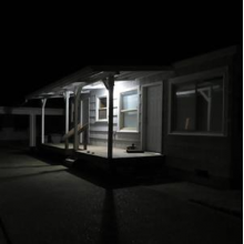 Jurado, Damien - Birds Tricked Into the Trees