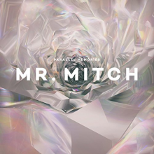 Mr. Mitch - Parallel Memories