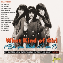 V/A - What Kind of Girl (Do You Think I Am?)