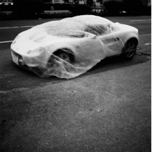 Serpente - Dias Da Aranha