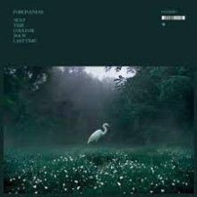 Forgiveness - Next Time Could Be Your Last Time