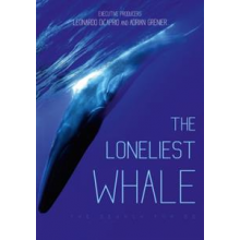 Documentary - Loneliest Whale - the Search For 52