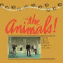 Animals - Animal Tracks