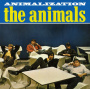 Animals - Animalization