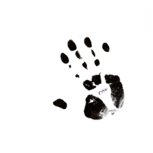 Schnitzler, Conrad - Con 84