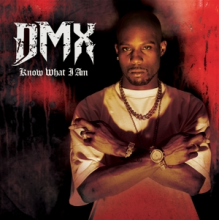 Dmx - 7-Know What I Am