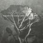 Celis, Roeland - Celestial Planes