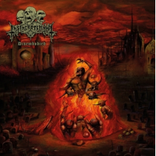 Insineratehymn - Disembodied