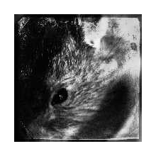 Decline of the I - Rebellion