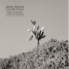 Chauveau, Sylvain -& Ensemble Nocturne- - Down To the Bone (an Acoustic Tribute To Depeche M