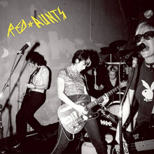 Red Aunts - Come Up For a Closer Look