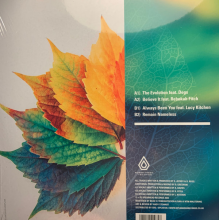 Bcee & Kubiks - Evolution Ep