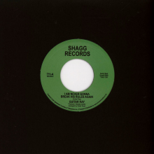 Guitar Ray - I Am Never Gonna Break His Rules Again