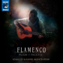 Monteverde, Ignacio Lusardi - Flamenco - Pasado Y Presente