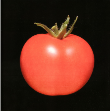 Chronophage - Chronophage